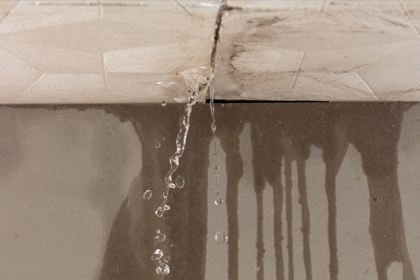 Professional Structural Drying technician working in Spanaway, WA